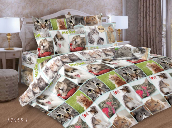 Комплект постельного белья Евростандарт, бязь  ГОСТ (Галерея кошек)
